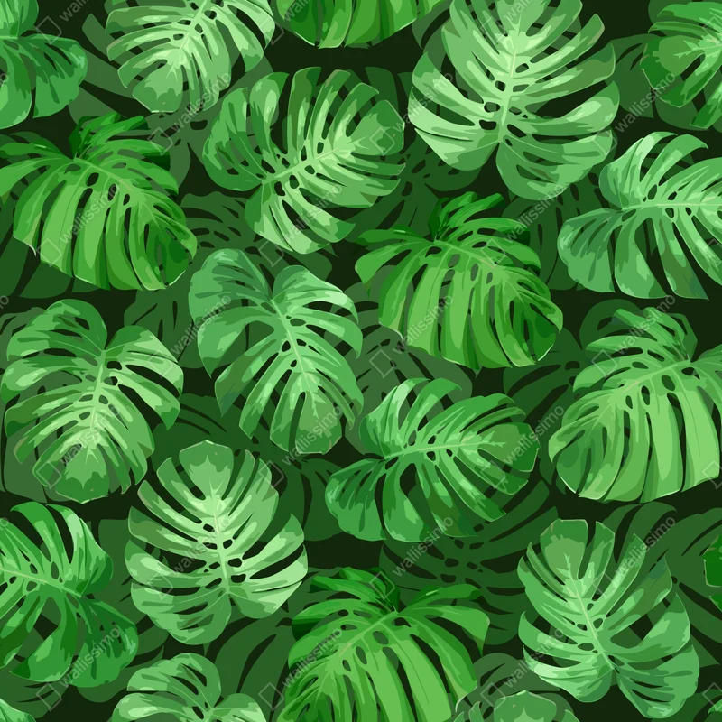 Fototapete tropisches monstera-blattmuster Fototapete tropisches monstera-blattmuster