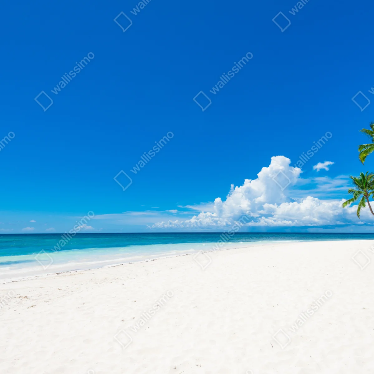 Naklejka na okno tropikalna plaża z palmami Naklejka na okno tropikalna plaża z palmami