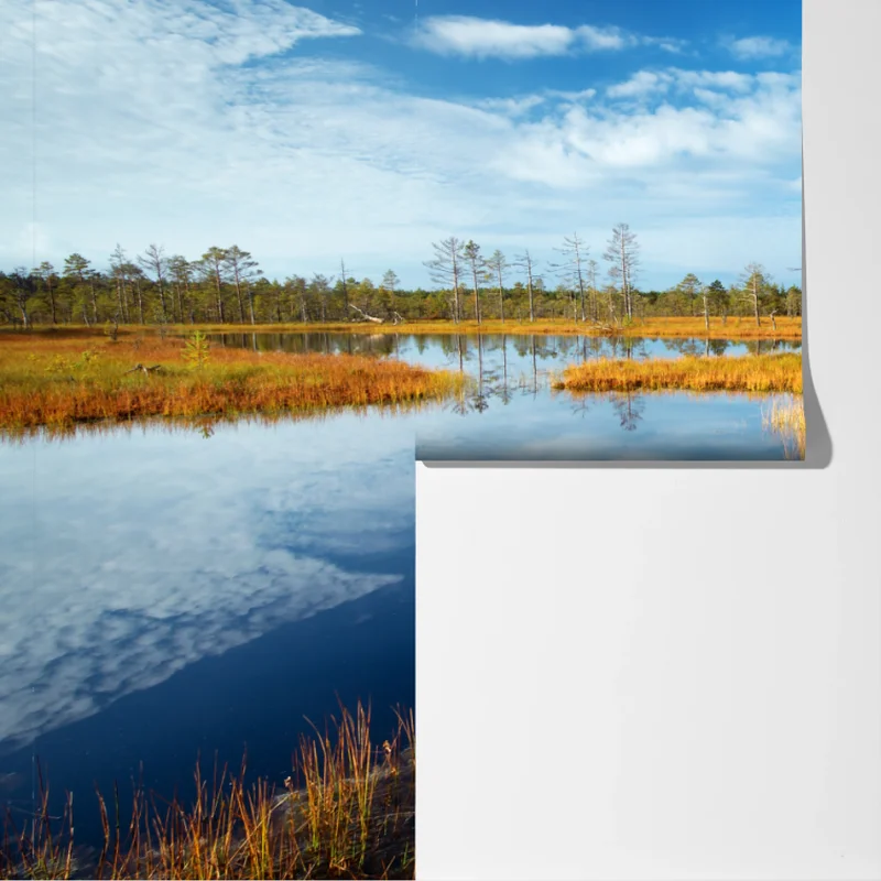 Fototapete herbststeg über ruhigem moor Fototapete herbststeg über ruhigem moor