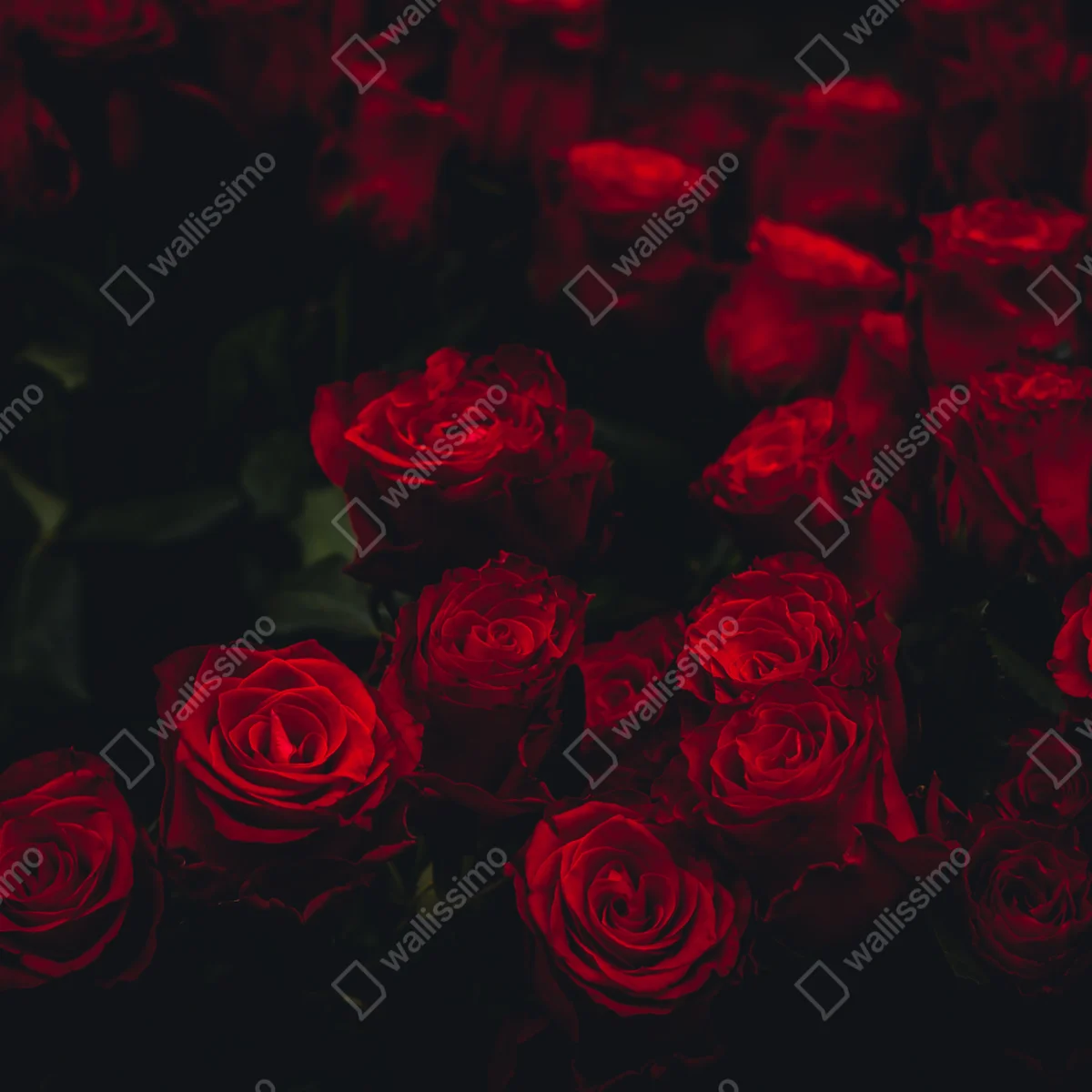 Tischaufkleber und Schreibtischaufkleber dunkler rosenstrauß Tischaufkleber und Schreibtischaufkleber dunkler rosenstrauß