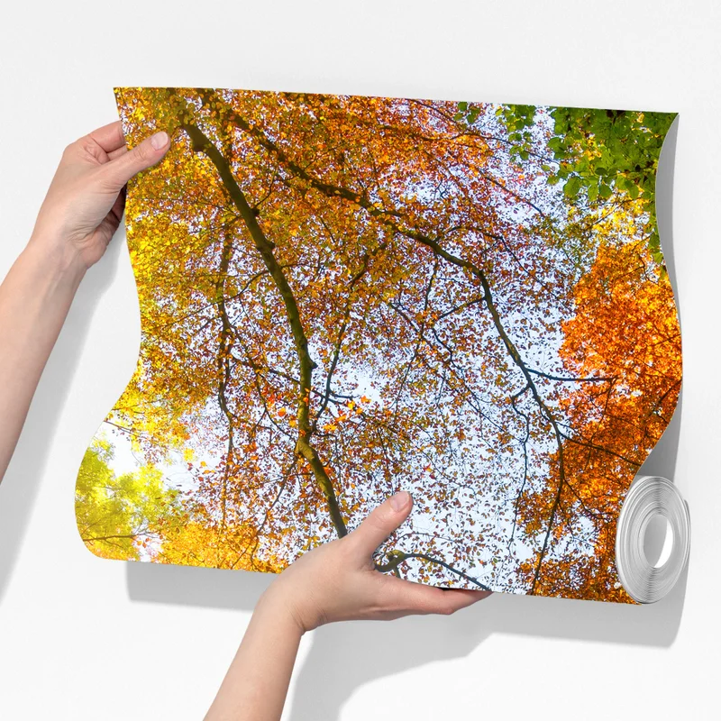 Fototapeta złota jesienna ścieżka przez las Fototapeta złota jesienna ścieżka przez las