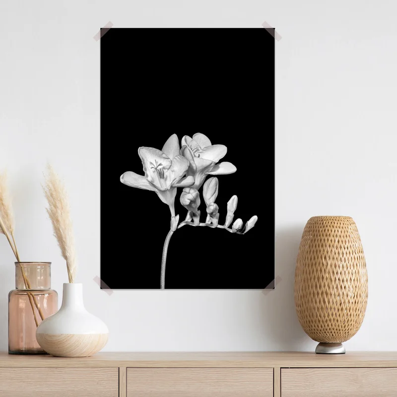 Poster zarte freesie in monochrom Poster zarte freesie in monochrom