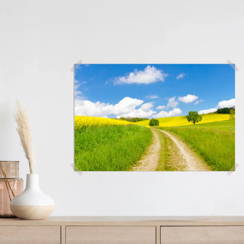 Poster sonniger landeweg durch gelbe felder Poster sonniger landeweg durch gelbe felder