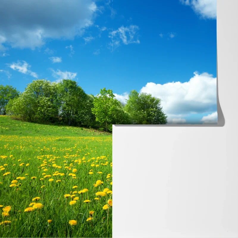 Fototapete sonnige wiese mit löwenzahn und blauem himmel Fototapete sonnige wiese mit löwenzahn und blauem himmel