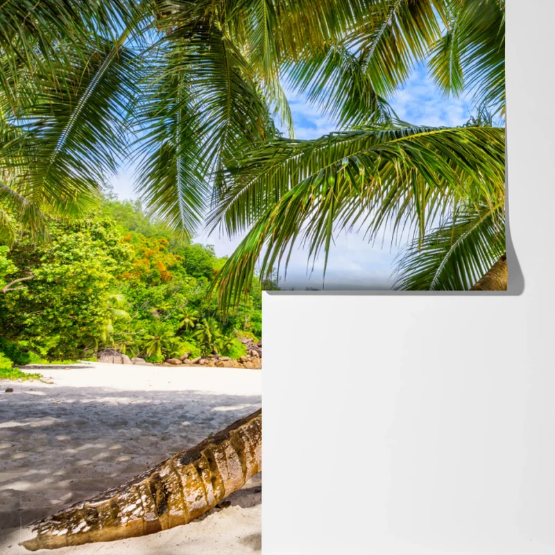 Fototapeta tropikalna palma na białej plaży Fototapeta tropikalna palma na białej plaży