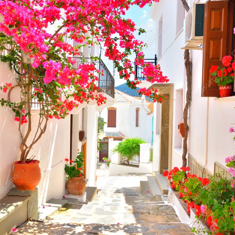 Kühlschrankaufkleber sonnige mediterrane gasse mit bougainvillea Kühlschrankaufkleber sonnige mediterrane gasse mit bougainvillea