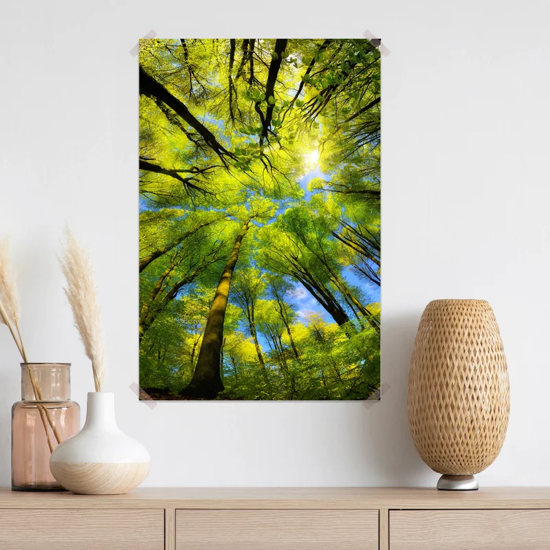 Poster Majestätischer Superweitwinkel nach oben Blick auf das Kronendach in einem Buchenwald mit frischem grünen Laub, Sonnenstrahlen und klarem blauen Himmel • Poster bei Wallnifity® Poster Majestätischer Superweitwinkel nach oben Blick auf das Kronendach in einem Buchenwald mit frischem grünen Laub, Sonnenstrahlen und klarem blauen Himmel • Poster bei Wallnifity®