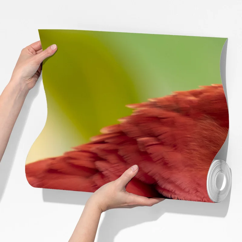 Fototapeta wyrazisty portret ary szkarłatnej Fototapeta wyrazisty portret ary szkarłatnej