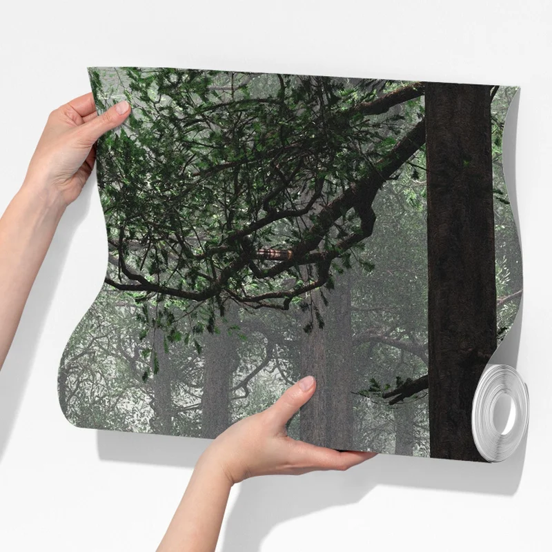 Fototapeta mglisty iglasty las Fototapeta mglisty iglasty las