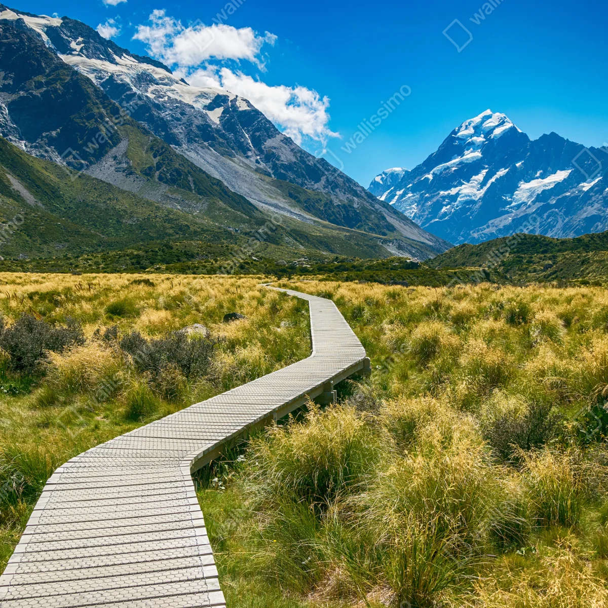 Fototapeta kładka przez łąkę prowadząca do ośnieżonych szczytów Fototapeta kładka przez łąkę prowadząca do ośnieżonych szczytów