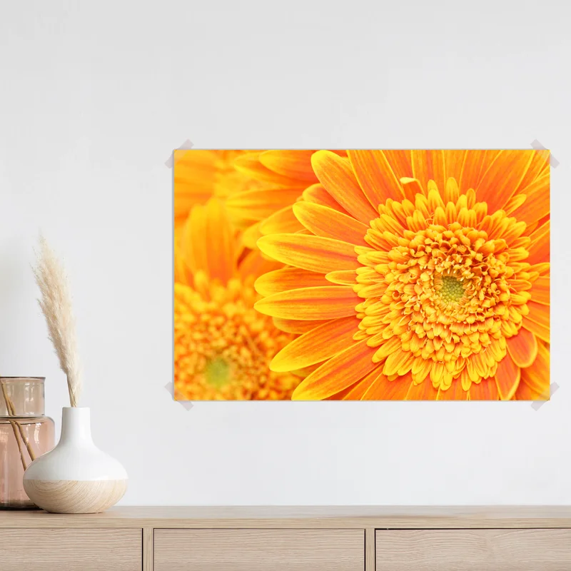 Poster leuchtende orange gerbera in makro Poster leuchtende orange gerbera in makro