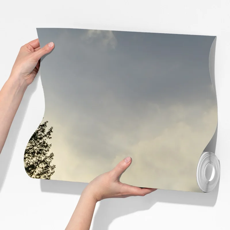 Fototapeta mglisty iglasty las z wodospadem Fototapeta mglisty iglasty las z wodospadem