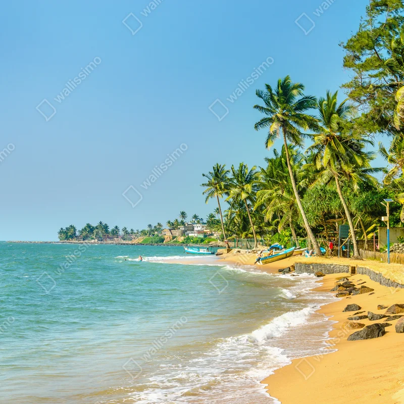Naklejka na laptopa tropikalna plaża z palmami Naklejka na laptopa tropikalna plaża z palmami