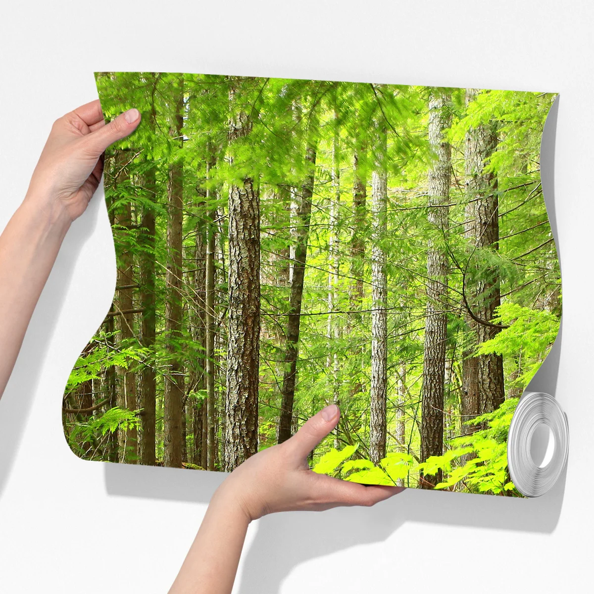 Fototapete moosiger waldpfad Fototapete moosiger waldpfad