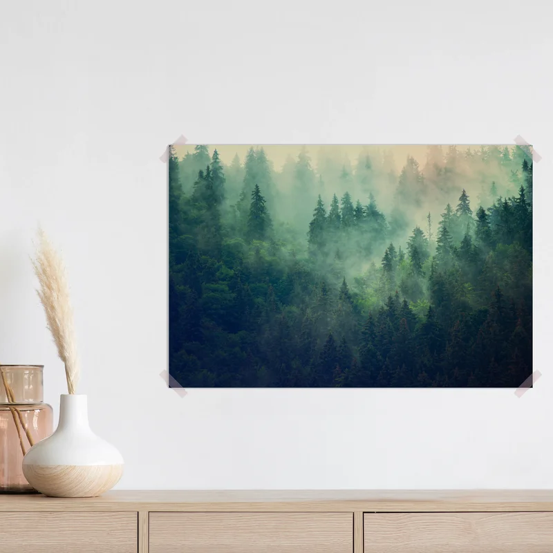 Poster nebliger nadelwald am morgen • Poster bei Wallnifity® Poster nebliger nadelwald am morgen • Poster bei Wallnifity®