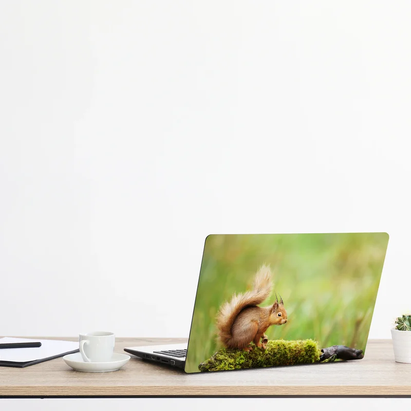 Naklejka na laptopa ruda wiewiórka na mchu