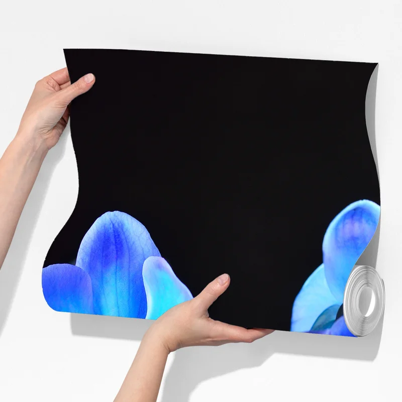 Fototapete leuchtende blaue orchidee vor schwarzem hintergrund Fototapete leuchtende blaue orchidee vor schwarzem hintergrund