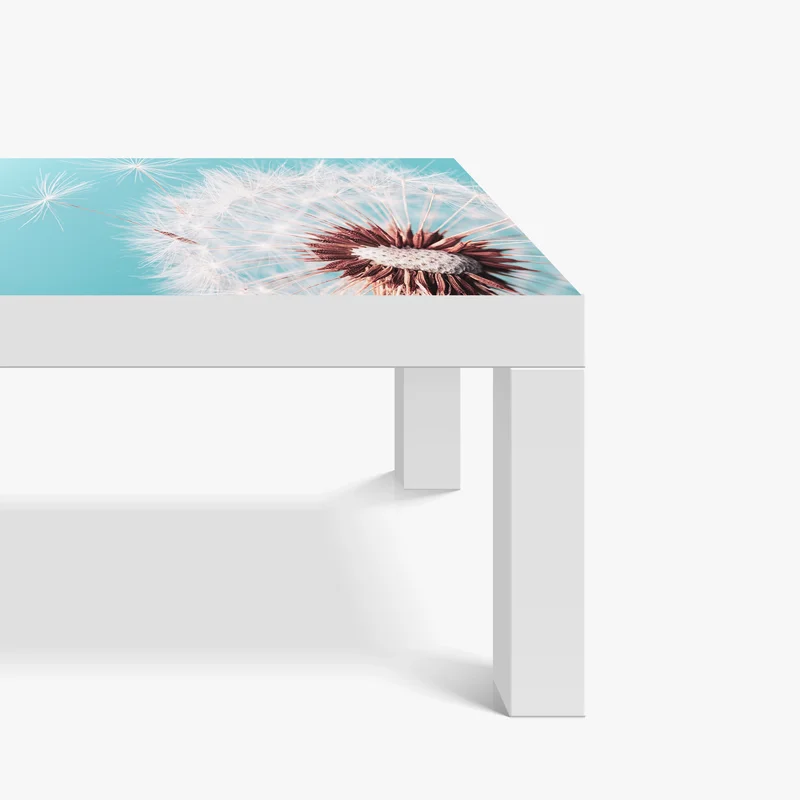 Tischaufkleber und Schreibtischaufkleber zarter löwenzahn vor türkisfarbenem hintergrund Tischaufkleber und Schreibtischaufkleber zarter löwenzahn vor türkisfarbenem hintergrund