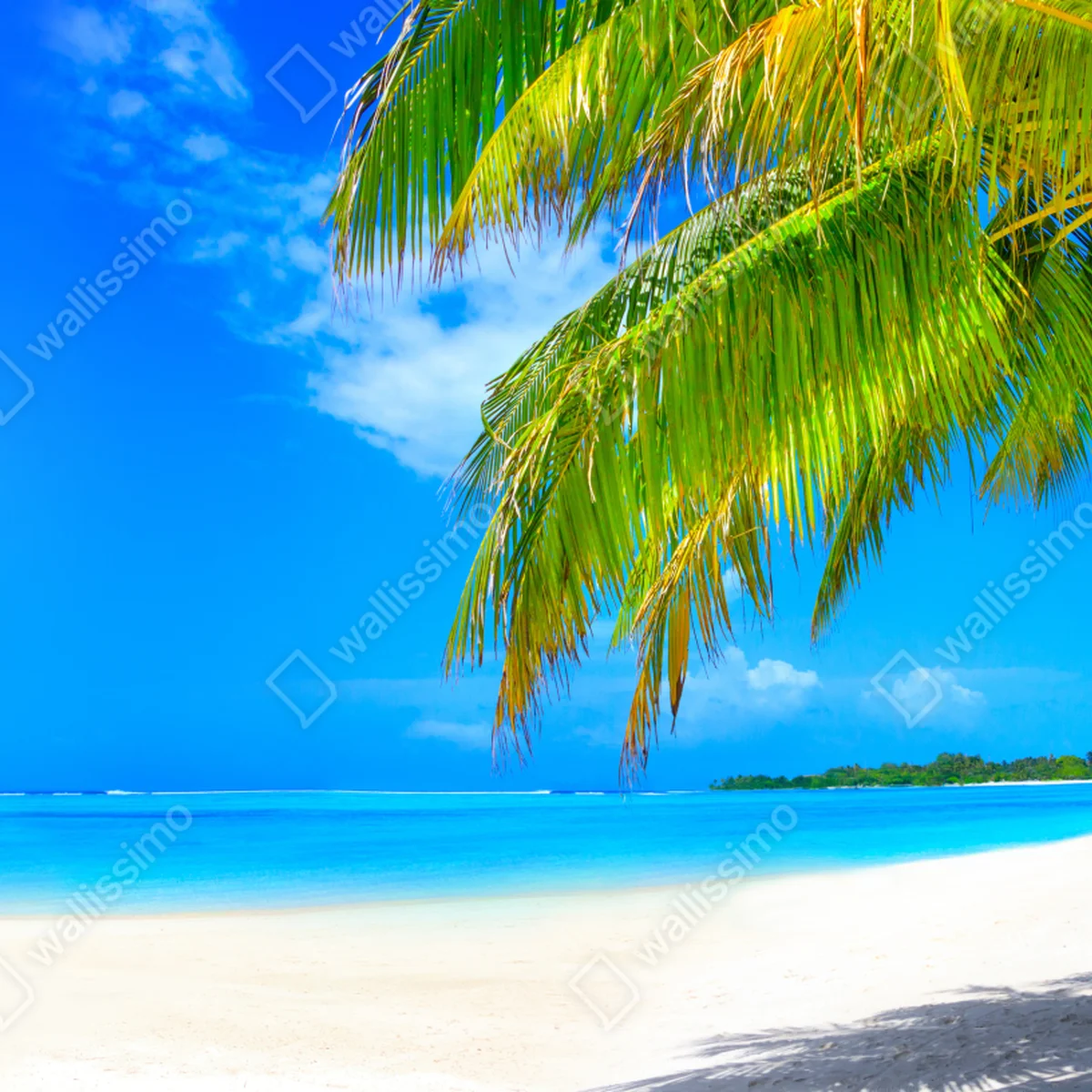 Fototapeta tropikalna turkusowa plaża Fototapeta tropikalna turkusowa plaża