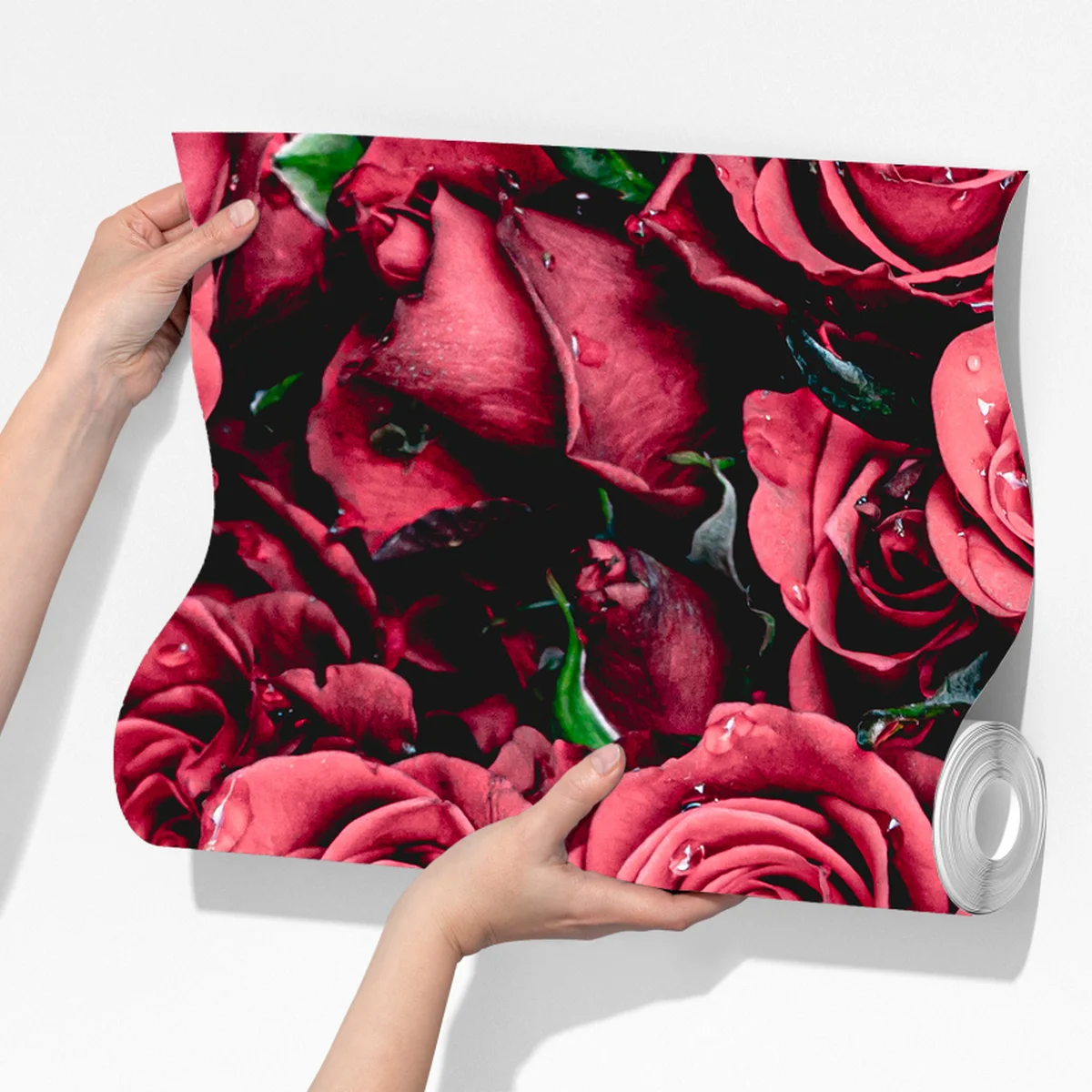 Fototapete pralle rote rosen wandbild Fototapete pralle rote rosen wandbild