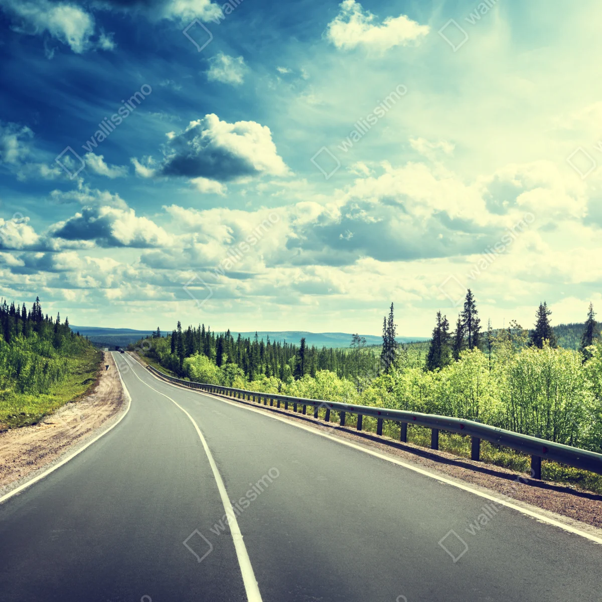 Leinwandbild sonnenbeschienene waldstraße bis zum horizont Leinwandbild sonnenbeschienene waldstraße bis zum horizont