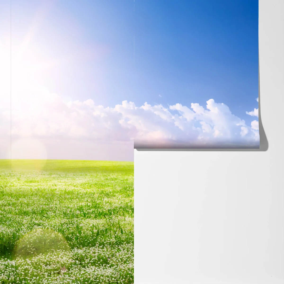 Fototapeta słoneczna wiosenna łąka pod niebieskim niebem Fototapeta słoneczna wiosenna łąka pod niebieskim niebem