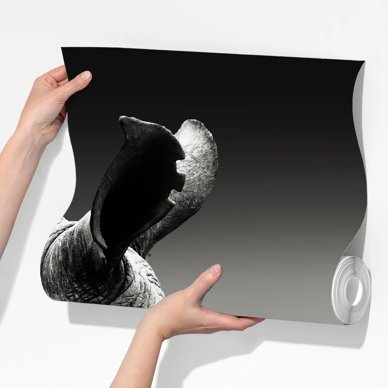 Fototapete majestätisches nashornporträt Fototapete majestätisches nashornporträt