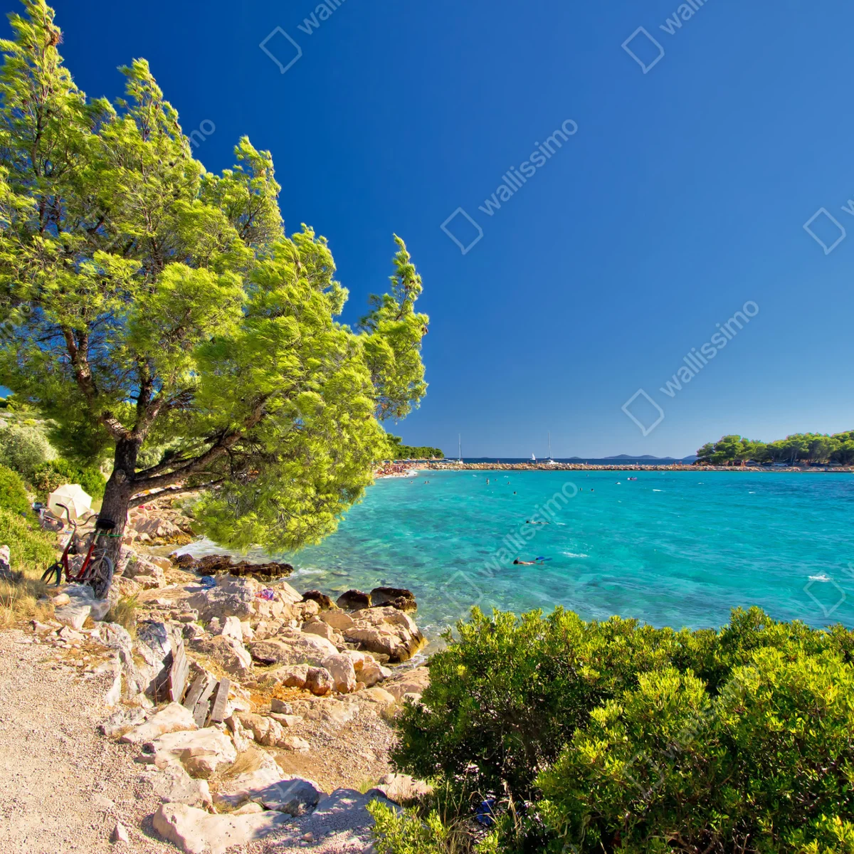 Repositionierbarer Aufkleber idyllischer türkisfarbener strand auf der Insel Murter • Repositionierbare Aufkleber bei Wallnifity® Repositionierbarer Aufkleber idyllischer türkisfarbener strand auf der Insel Murter • Repositionierbare Aufkleber bei Wallnifity®