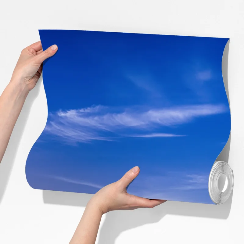 Fototapeta Teksas łąka bluebonnetów o wschodzie słońca Fototapeta Teksas łąka bluebonnetów o wschodzie słońca