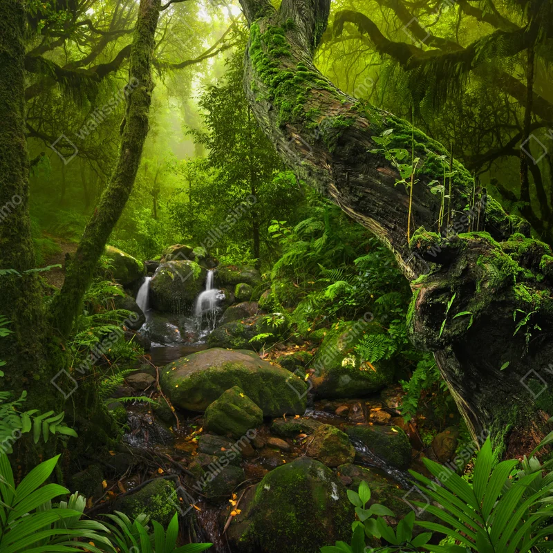 Fensteraufkleber moosiger waldbach im morgenlicht Fensteraufkleber moosiger waldbach im morgenlicht