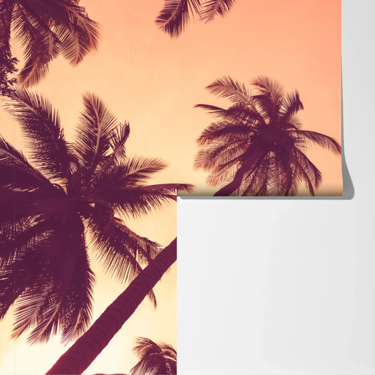 Fototapete tropische palmen bei sonnenuntergang Fototapete tropische palmen bei sonnenuntergang