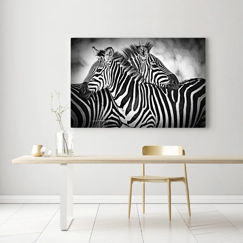 Leinwandbild intimes zebra-porträt in schwarzweiß Leinwandbild intimes zebra-porträt in schwarzweiß