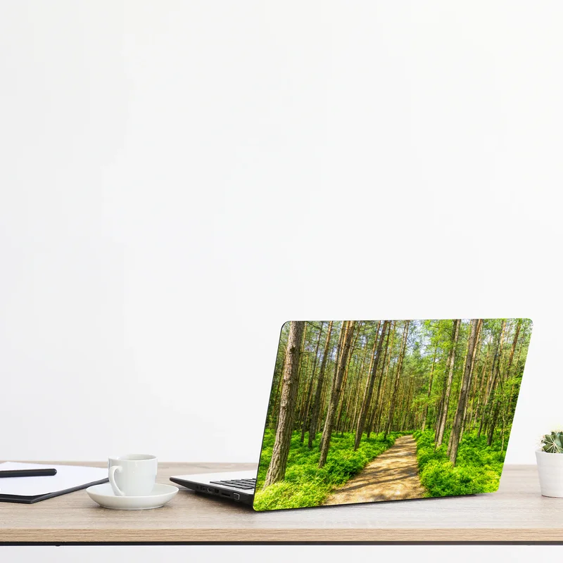 Laptop-Aufkleber sonniger waldweg zwischen kiefern Laptop-Aufkleber sonniger waldweg zwischen kiefern