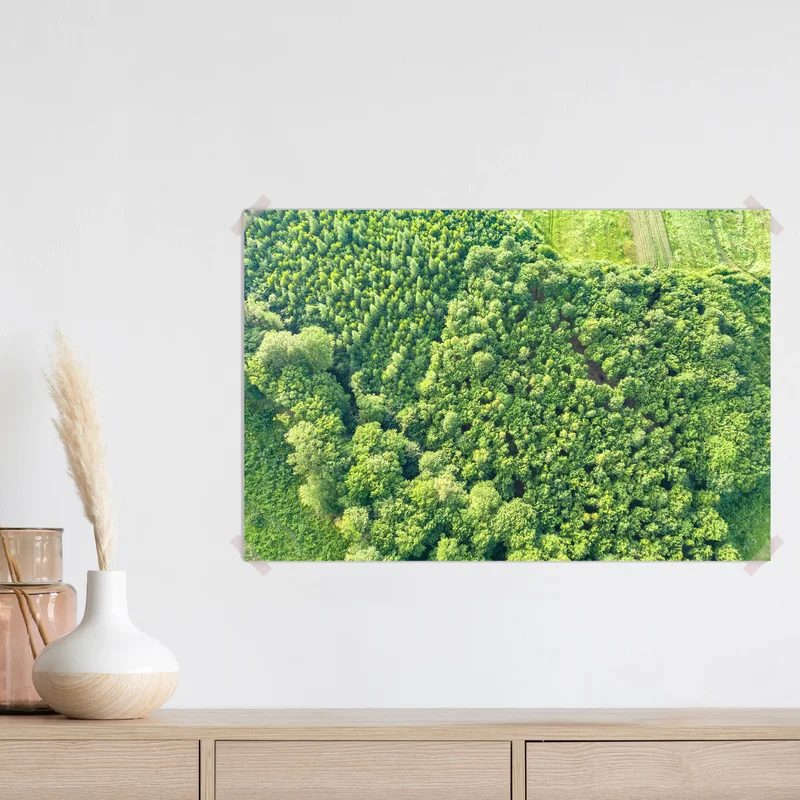 Poster Von oben nach unten Luftaufnahme des grünen Sommerwaldes mit vielen frischen Bäumen. • Poster bei Wallnifity® Poster Von oben nach unten Luftaufnahme des grünen Sommerwaldes mit vielen frischen Bäumen. • Poster bei Wallnifity®