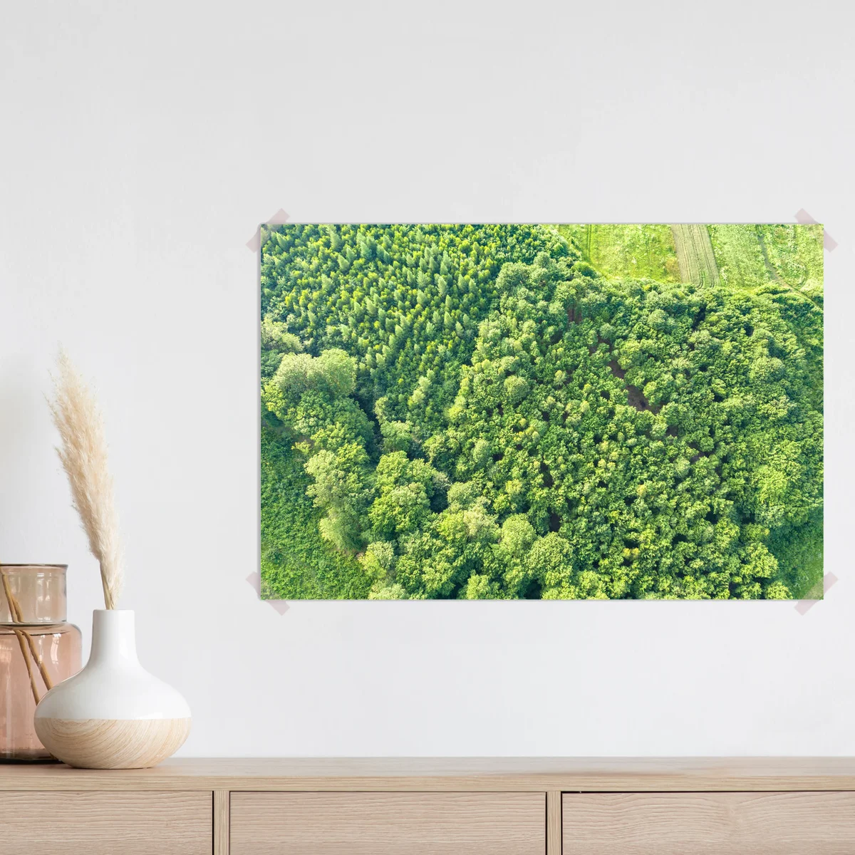 Poster Von oben nach unten Luftaufnahme des grünen Sommerwaldes mit vielen frischen Bäumen. • Poster bei Wallnifity® Poster Von oben nach unten Luftaufnahme des grünen Sommerwaldes mit vielen frischen Bäumen. • Poster bei Wallnifity®