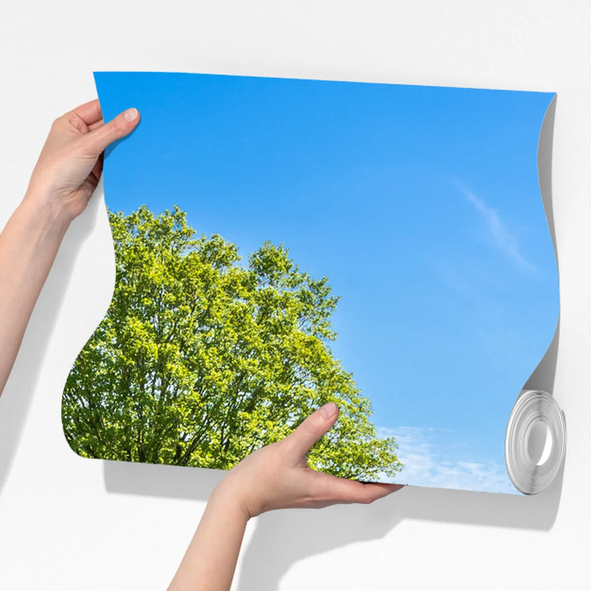 Fototapete sonnige landstraße durch grüne wiesen Fototapete sonnige landstraße durch grüne wiesen