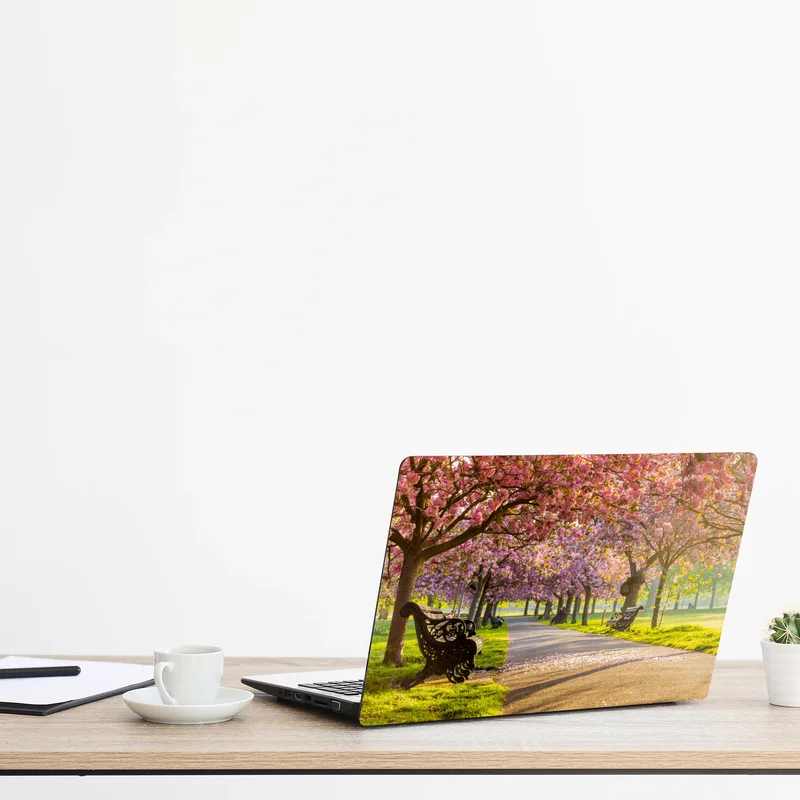 Laptop-Aufkleber kirschblütenallee im frühling