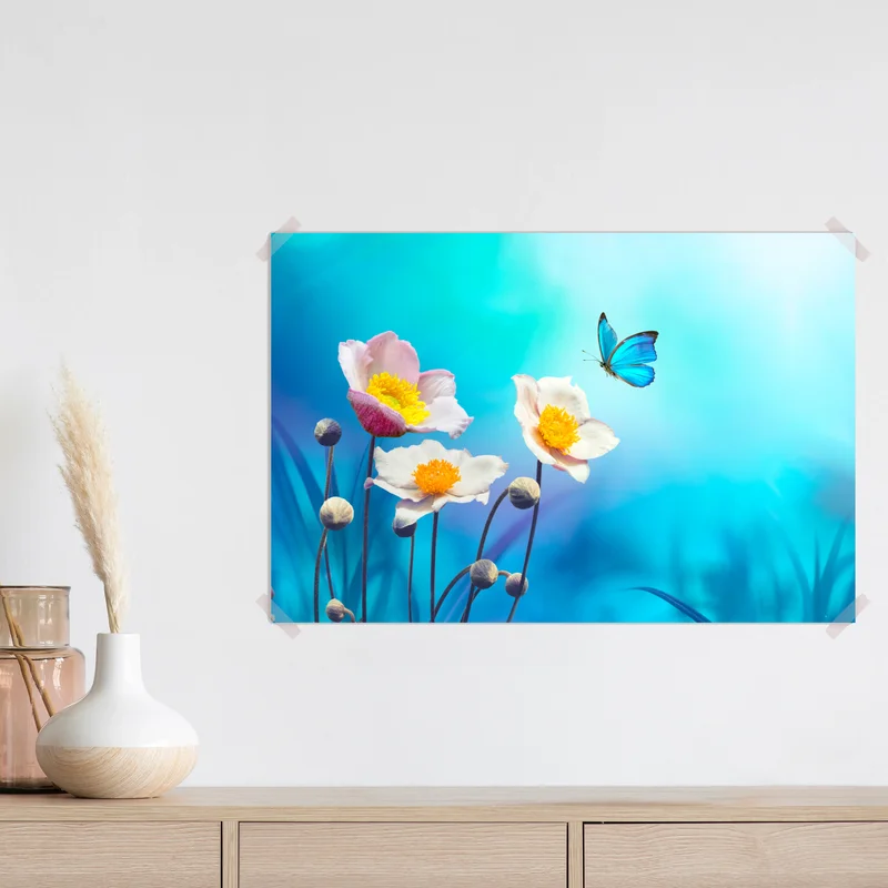 Poster zarte rosa anemonen und blauer schmetterling Poster zarte rosa anemonen und blauer schmetterling