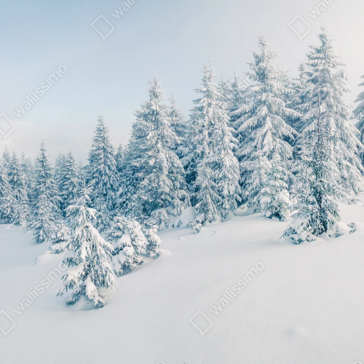 Repositionierbarer Aufkleber winterliche waldpanorama mit schneebedeckten fichten Repositionierbarer Aufkleber winterliche waldpanorama mit schneebedeckten fichten
