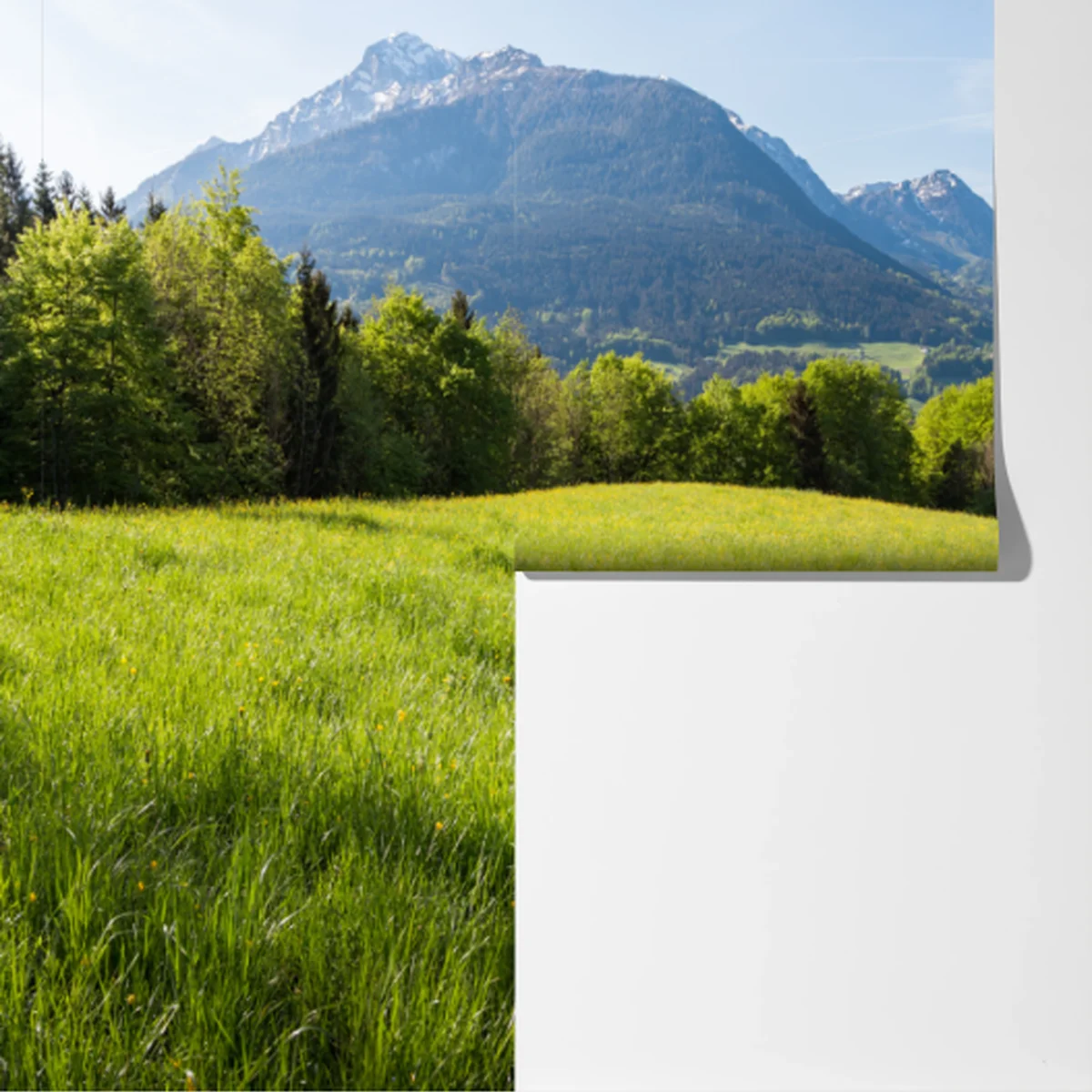 Fototapete ruhiges alpines wiesenpanorama Fototapete ruhiges alpines wiesenpanorama