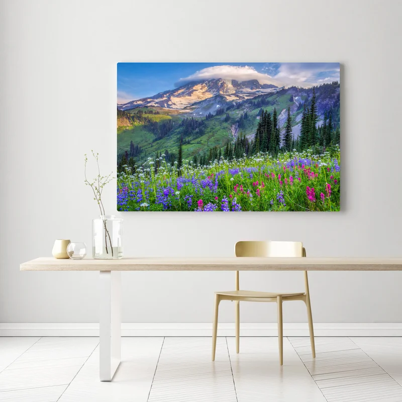 Leinwandbild alpine blumenwiese vor schneebedeckten bergen Leinwandbild alpine blumenwiese vor schneebedeckten bergen