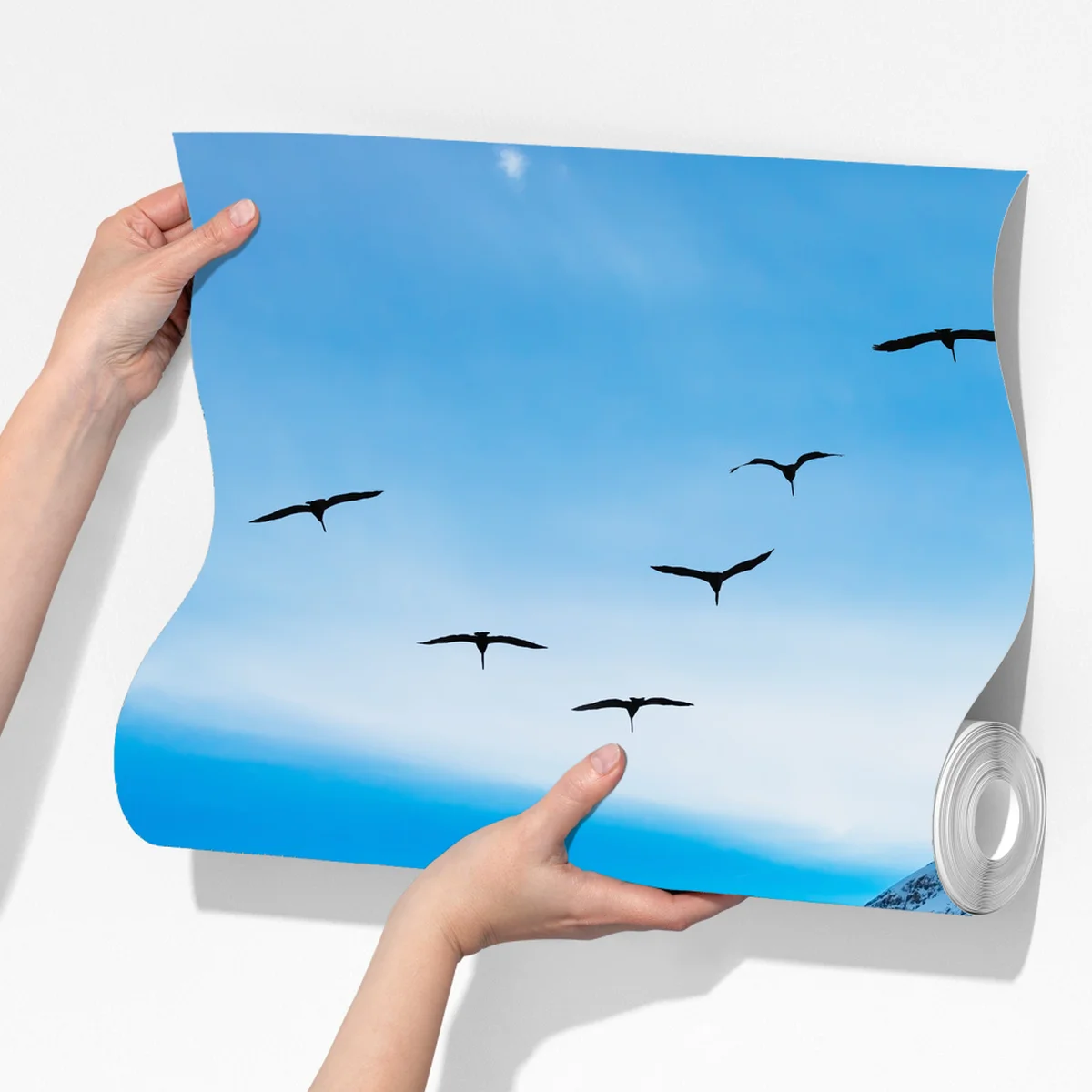 Fototapeta jesienne jezioro górskie z ptakami Fototapeta jesienne jezioro górskie z ptakami