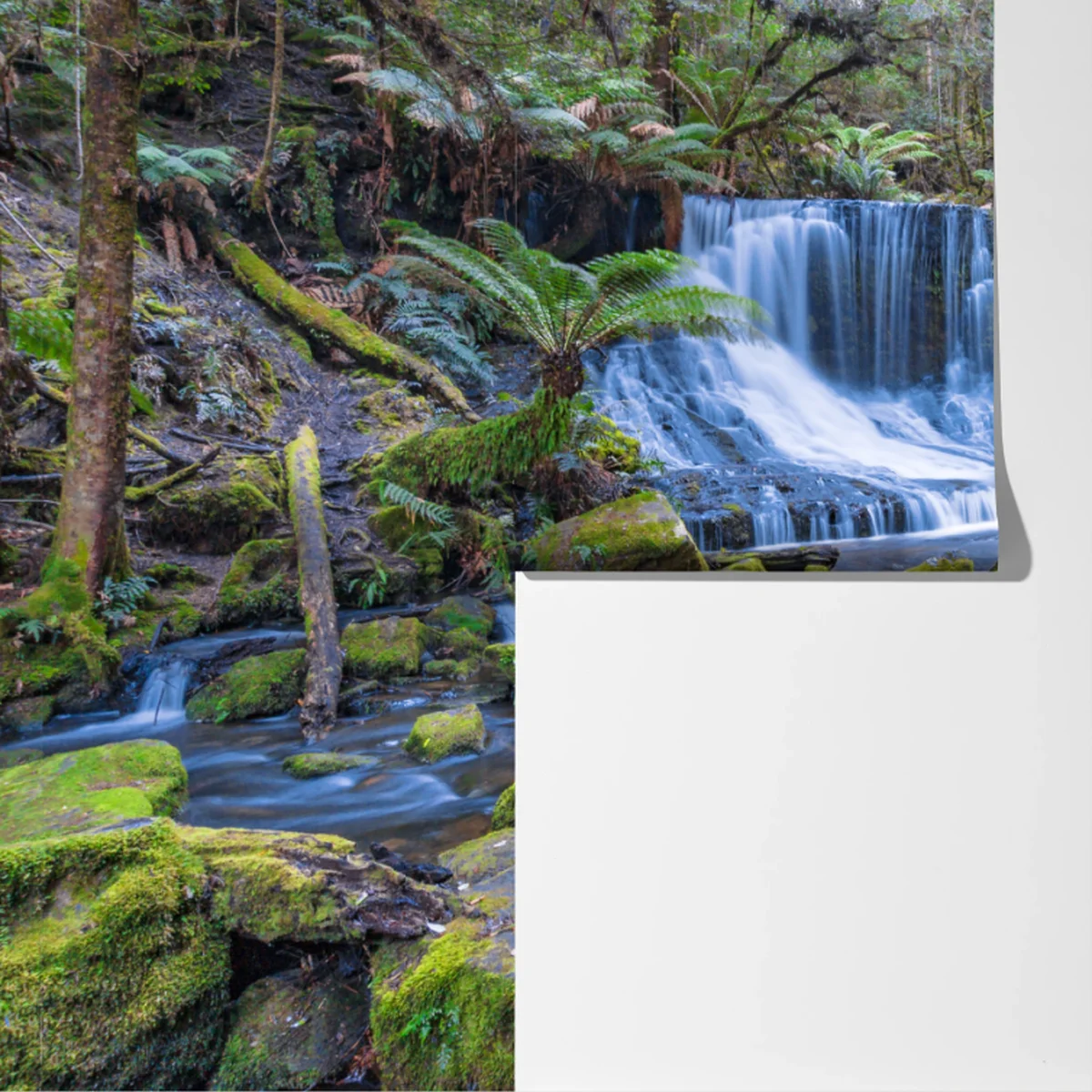 Fototapete friedlicher waldwasserfall Fototapete friedlicher waldwasserfall