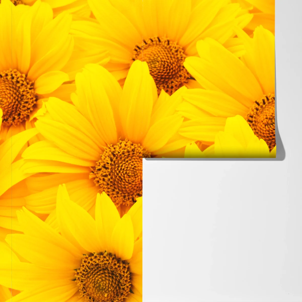 Fototapete leuchtende gelbe sonnenblumen in nahaufnahme Fototapete leuchtende gelbe sonnenblumen in nahaufnahme