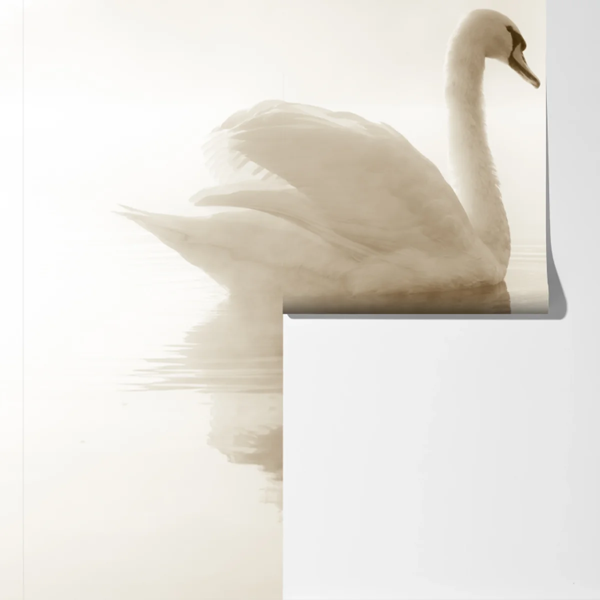 Fototapete eleganter schwan im nebel Fototapete eleganter schwan im nebel