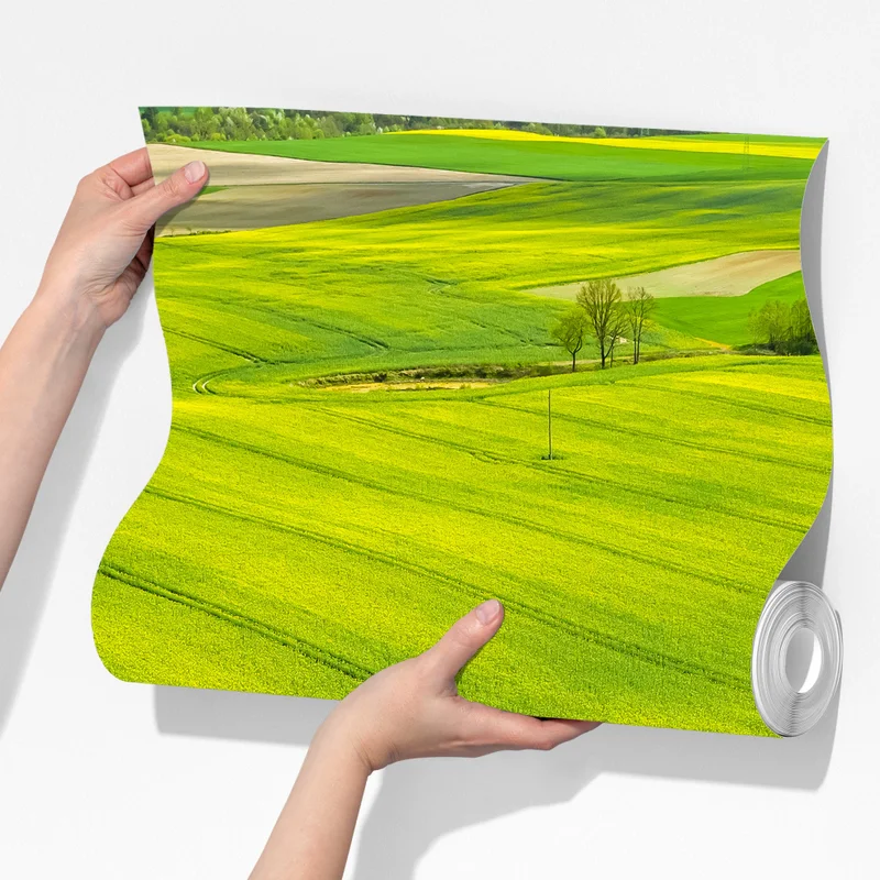 Fototapete goldene rapsfelder aus der vogelperspektive Fototapete goldene rapsfelder aus der vogelperspektive