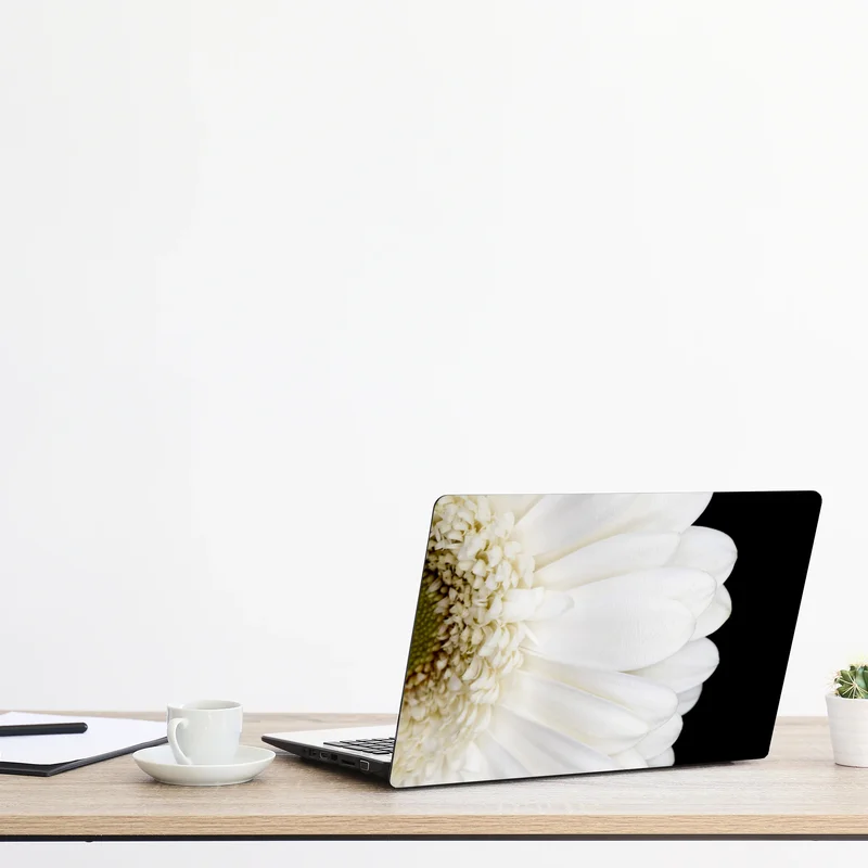 Laptop-Aufkleber weiße gerbera auf schwarzem hintergrund minimalistische nahaufnahme