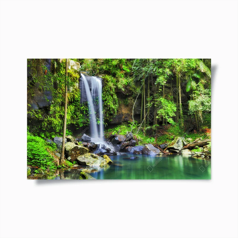 Poster Tamborine wasserfall im üppigen regenwald • Poster bei Wallnifity® Poster Tamborine wasserfall im üppigen regenwald • Poster bei Wallnifity®