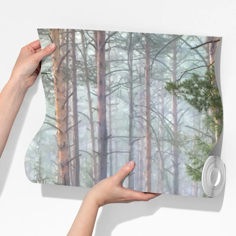 Fototapeta mglisty sosnowy las z ścieżką Fototapeta mglisty sosnowy las z ścieżką