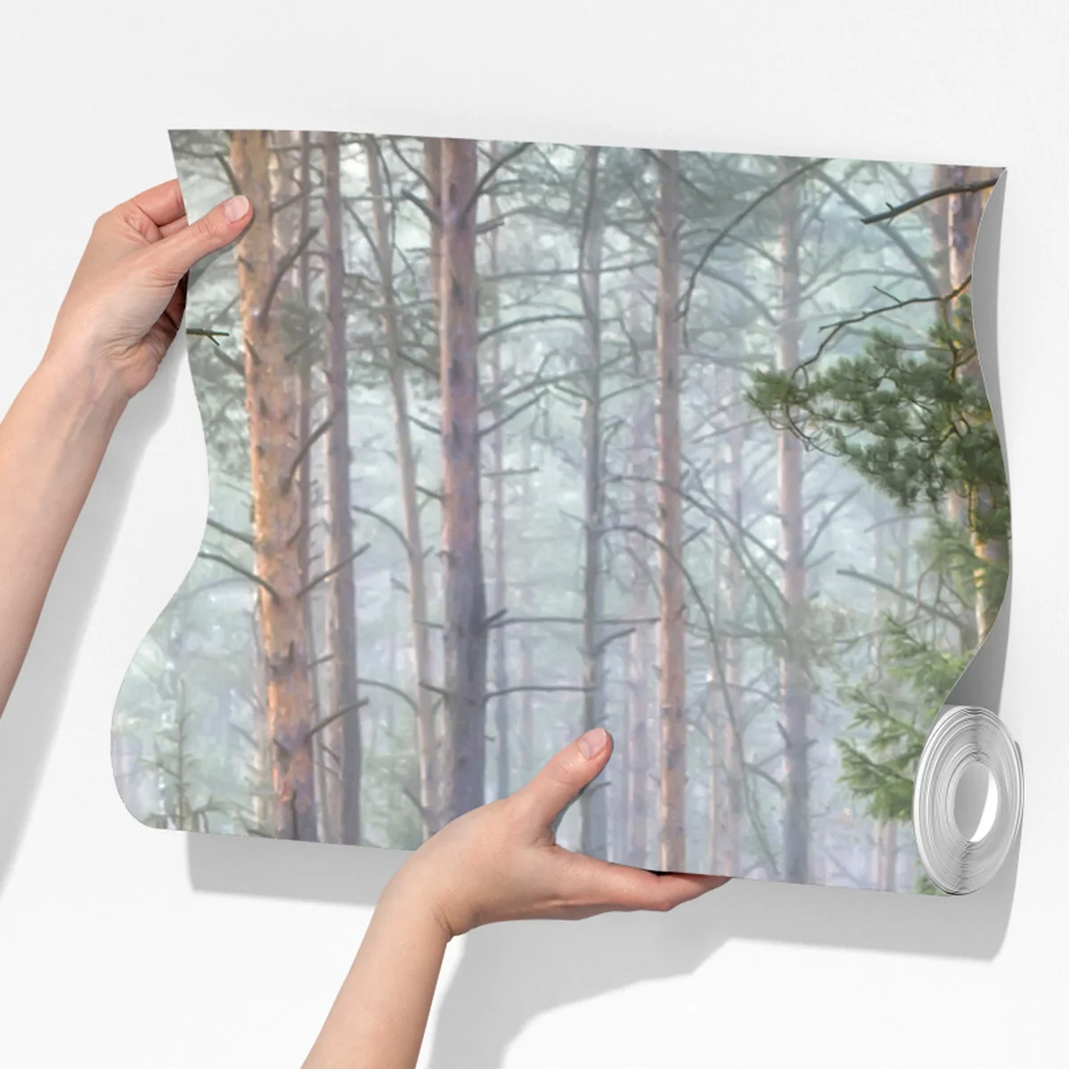 Fototapeta mglisty sosnowy las z ścieżką Fototapeta mglisty sosnowy las z ścieżką